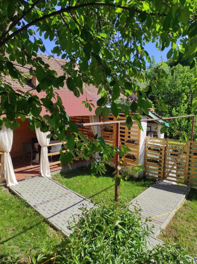 Gabi'S Home #1 Sighisoara Exterior photo