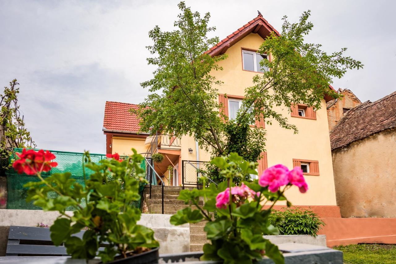 Gabi'S Home #1 Sighisoara Exterior photo